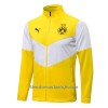 Chaqueta De Entrenamiento Trajes BVB Borussia Dortmund 2021/22 Amarilla - Hombre